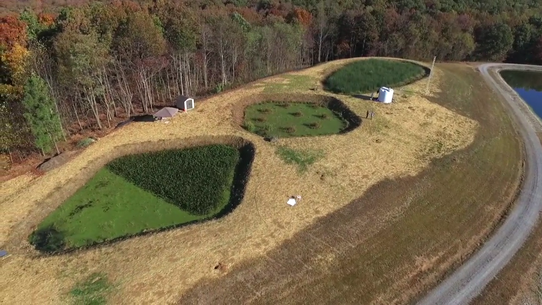 Aerial image of the wetlands. (B. Moore, 2017)